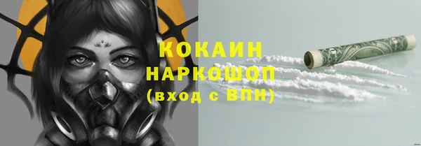 стаф Рославль